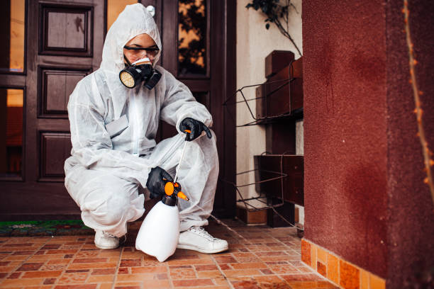 Reliable Wasp Removal contractor in West Glens Falls, NY by Show Me Pest Control